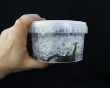 Leech Hirudo Gel 100 gr